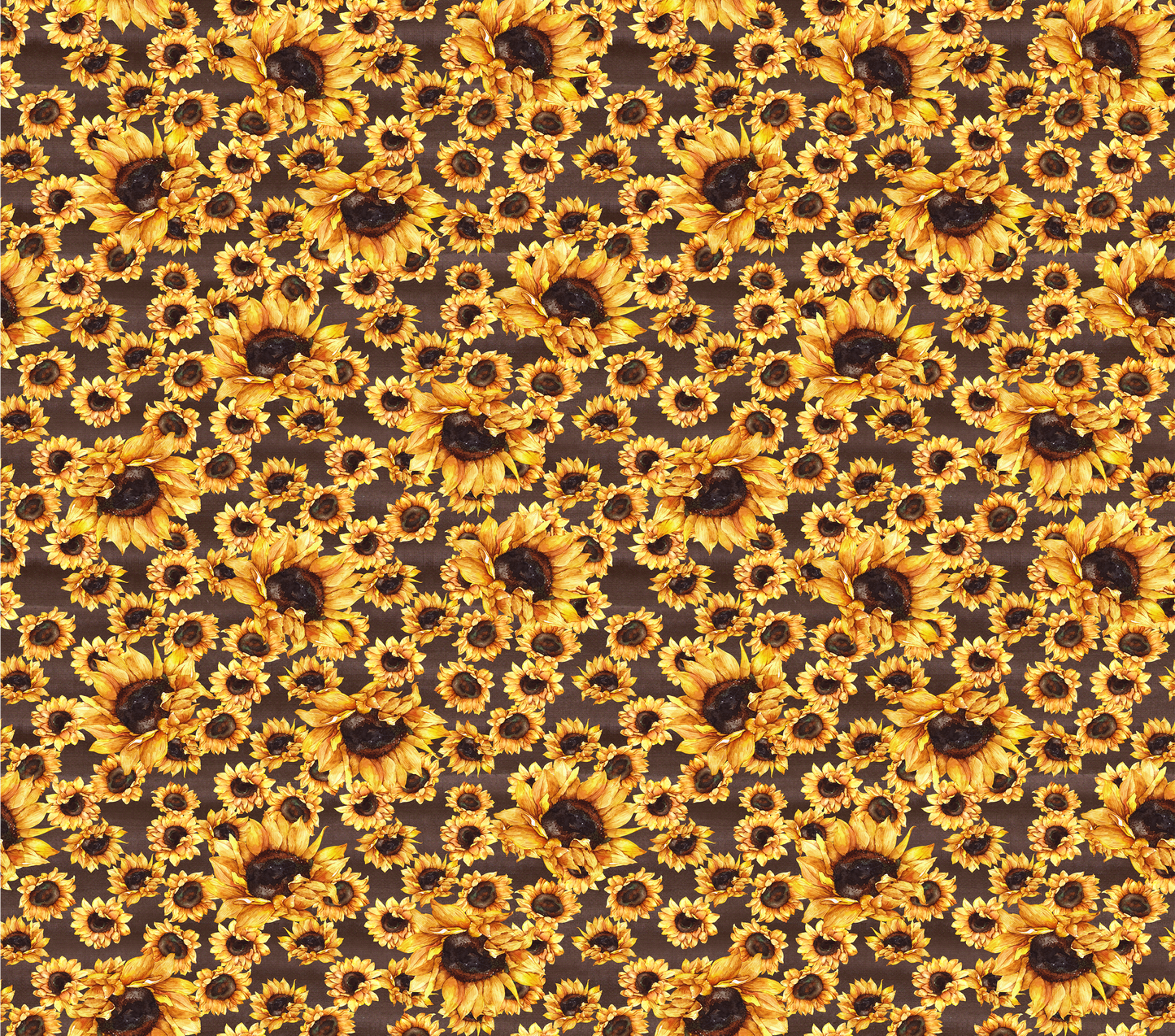 Sunflower #2