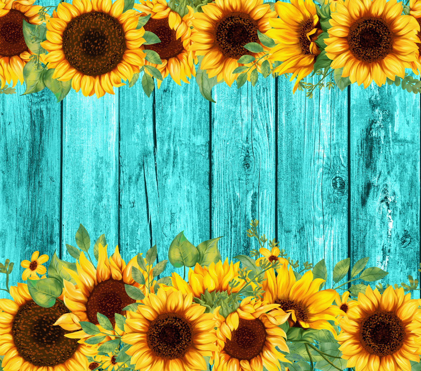 Sunflower #3