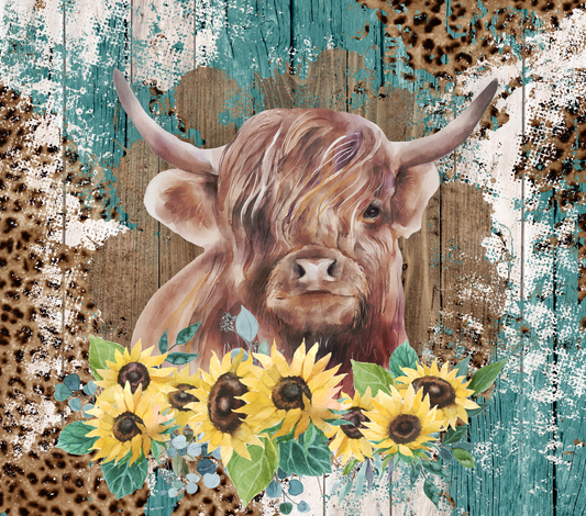 Highland cow #1