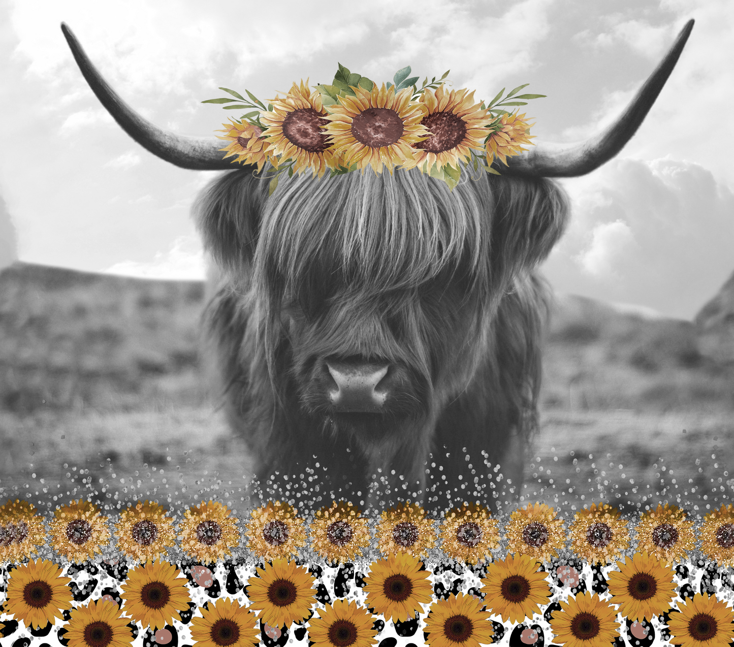 Highland cow #4