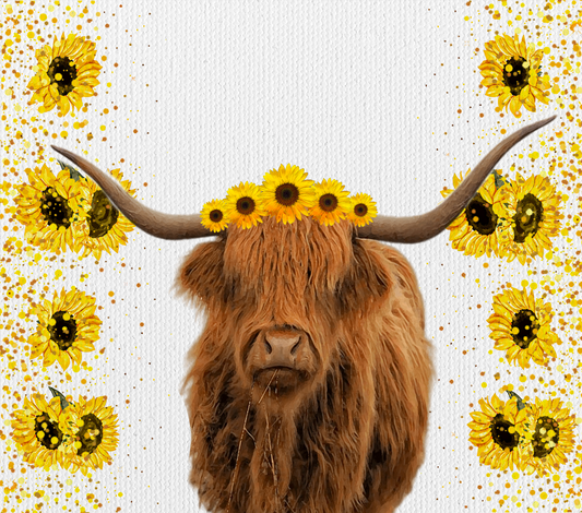 Highland cow #2