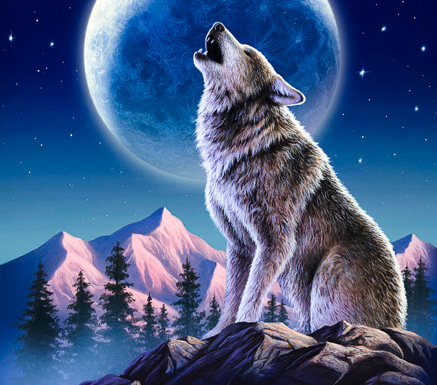 Wolf #2